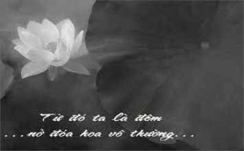 Quán trọ vô thường